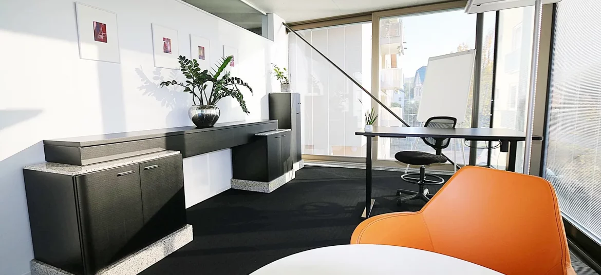 Helles und stilvoll eingerichtetes Private Office Schlossblick bei CoWirken mit moderner Büroeinrichtung und Pflanzen